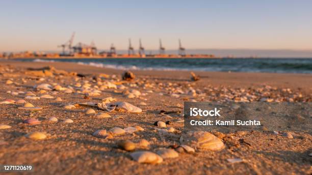 Stogi Beach With Sea Shells And Deep Water Terminal Stock Photo - Download Image Now