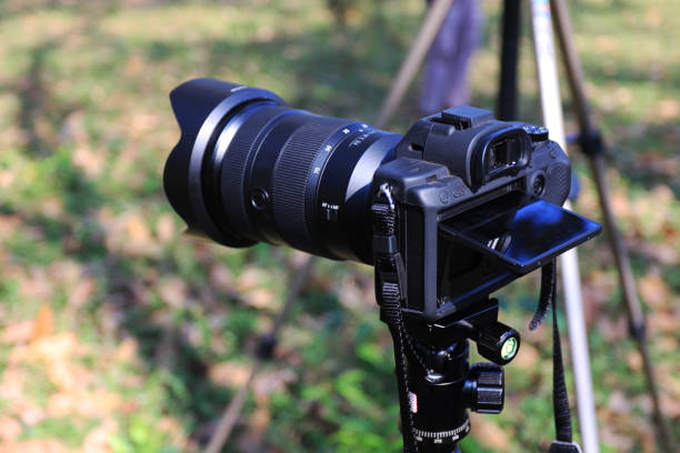 istock Camera with a tripod in the mountains 1271122776