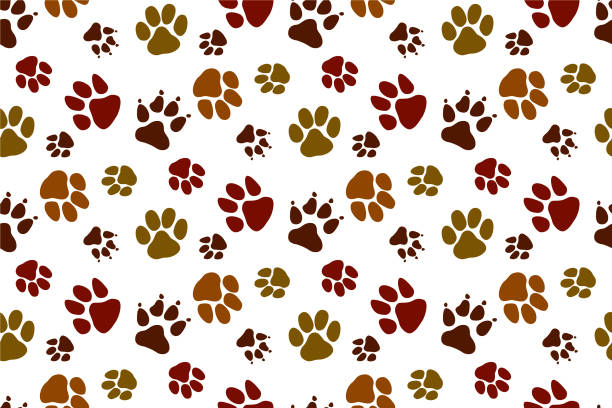 ilustrações de stock, clip art, desenhos animados e ícones de paw pattern - dog paw print paw print