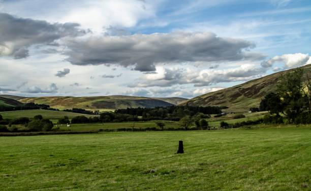istock Black Dog Surveying His Lands. 1271126776