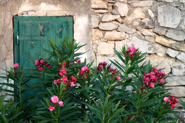 architettura mediterranea - beauty in nature bright building exterior close up foto e immagini stock