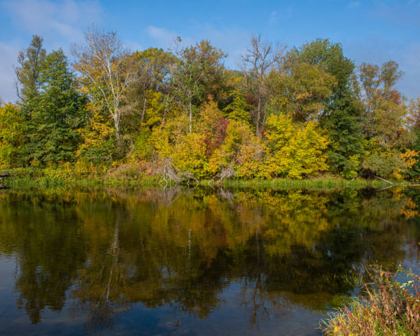istock Countryside landscape river and deciduous forest. 1271128679