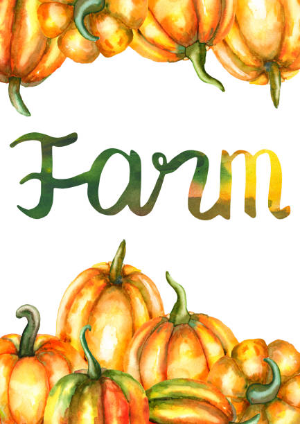 Watercolor hand-drawn card about pumpkin patch with the lettering Farm. Watercolor hand-drawn card about pumpkin patch, farm, market with the lettering Farm. Stock autumn illustration with postcard isolated on a white background. pumpkin patch watercolor stock illustrations