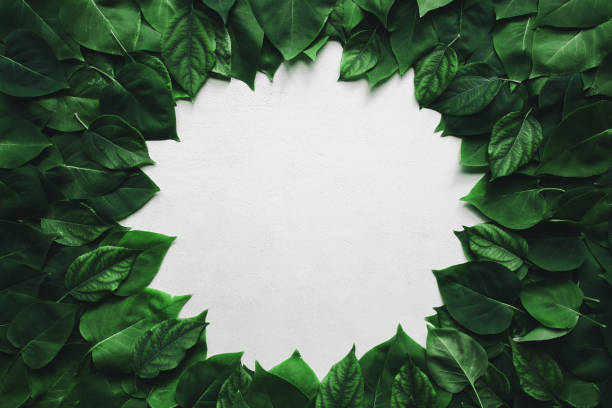 istock Round frame made of green leaves 1271131525
