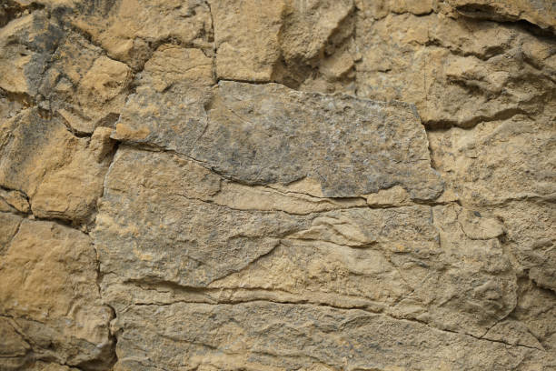istock Stone background. Rock texture. Gray brown abstract natural rock background. 1271132602