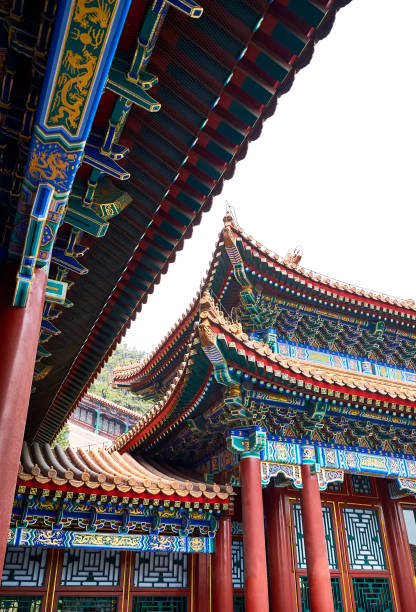 istock Traditional Chinese roofs with beautiful patterns and figurines. Imperial Summer Palace. Beijing, China. 1271133866