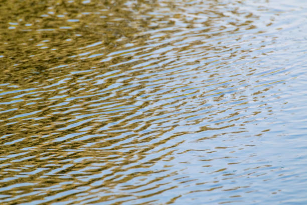 istock Blue and gold rippled water close-up on sunny day 1271134337
