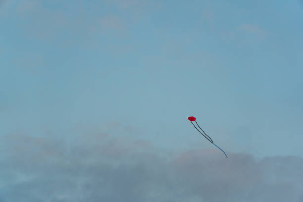 Photo is taken in Istanbul.  It was near dusk, the weather was calm. The kite was slowly mowing in the sky.