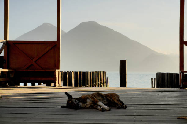 istock Guatemala: Lake Atitlan with volcanos and a dozing dog 1271136745
