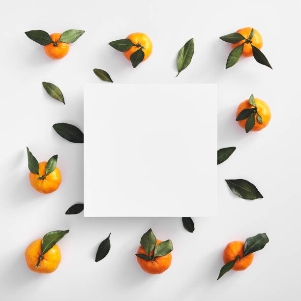 Ripe oranges on white background with copyspace