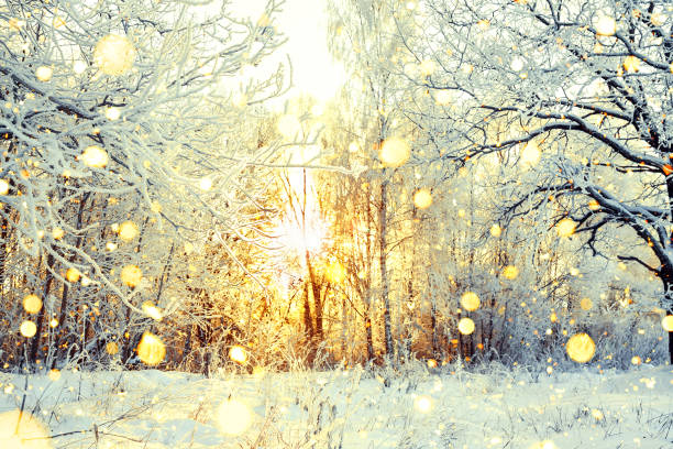 istock snowy winter landscape with forest and sun 1271141979