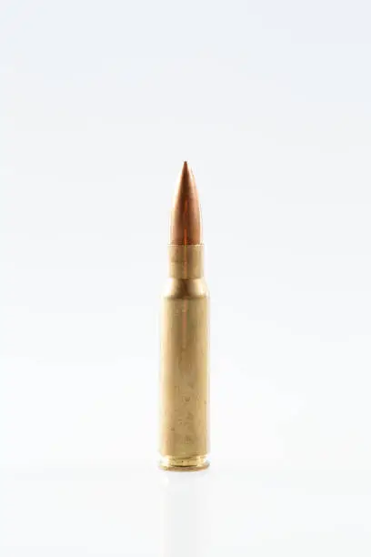 Hunting cartridges of caliber 308 Win