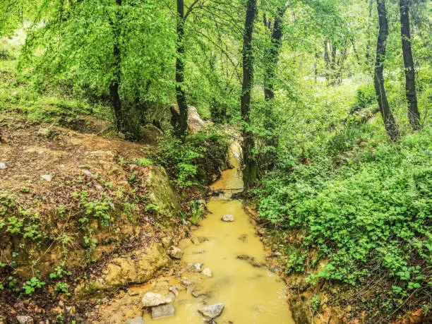 Photo of Dirty brown polluted water flows into the forest with river