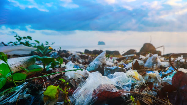 istock Seashore garbage island across 1271144440