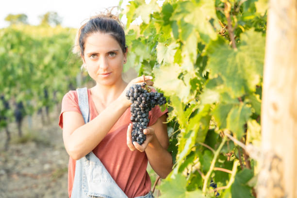 istock Woman holding bunch of grapes 1271144792