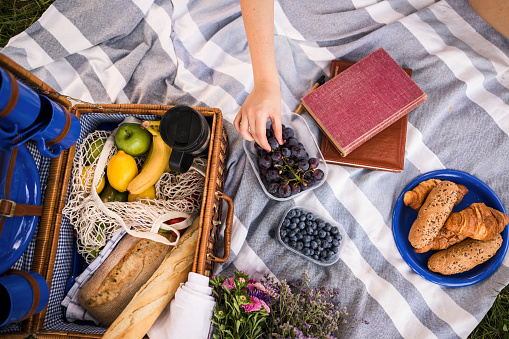 Direct above of picnic blanket with fruits and bread to share with friends where a hand is taking grapes. Books are also placed for people to read them.