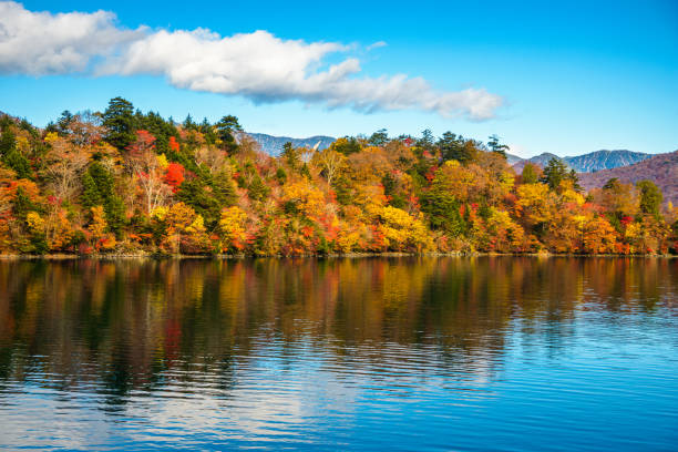 istock Lake Chuzenji, Nikko, Japan 1271145499