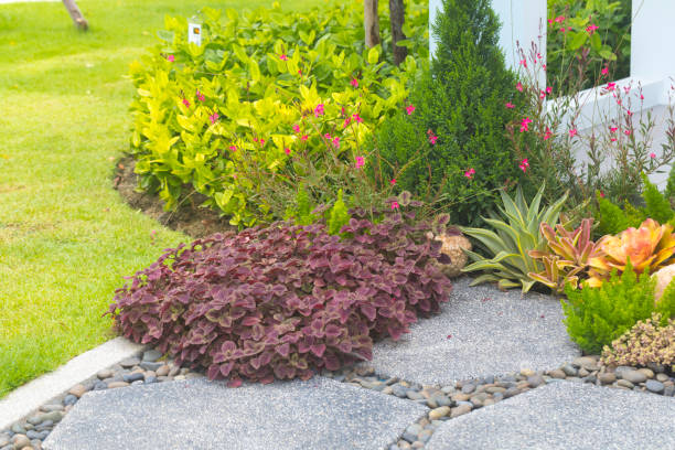 istock Natural stone landscaping in backyard in summer. 1271146616