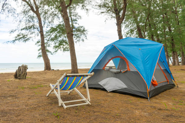 istock Tent by the beach with pine tree. 1271146636