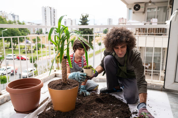 istock Father And Son Gardening In Balcony 1271148792