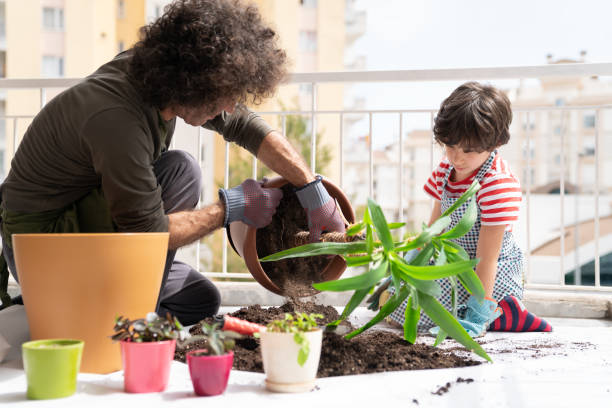 istock Father And Son Gardening In Balcony 1271148925