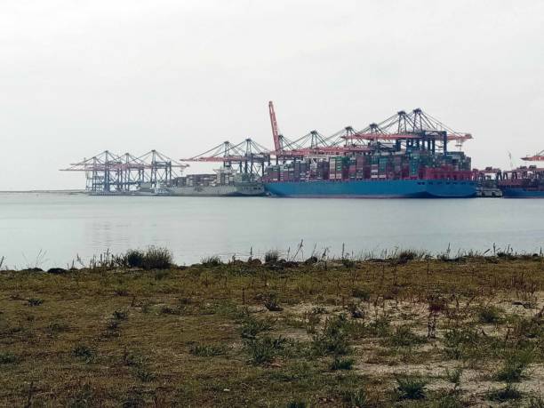 istock Merchandise Container Ship Docked In Rotterdam The Netherlands Europe 1271149762
