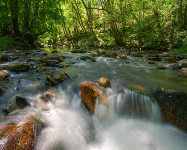 istock River flows between orange boulders and green oak and birch forests 1271150058