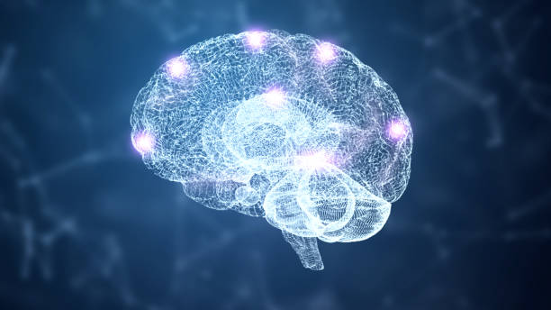 3d抽象hud脳と神経系のワイヤーフレームホログラムシミュレーションノード、青色の背景に照明。ナノテクノロジーと未来科学の概念。医療とヘルスケア。知能と知識の脳構造 - シナプス ストックフォトと画像
