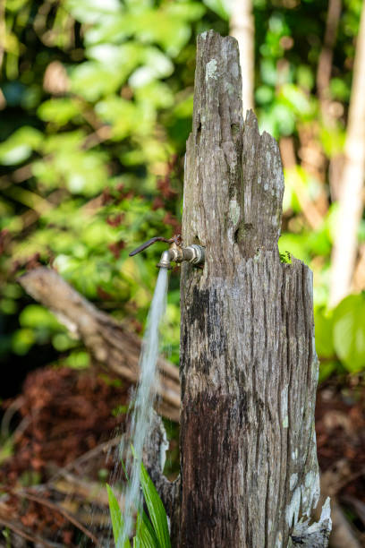 istock Running water from a tap with green trees background. Water consumption and usage concept. Close up 1271150165