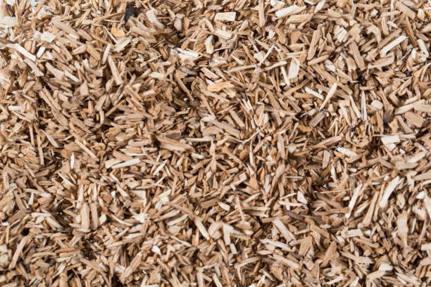 istock pieces of wood chip smoking element giving flavor and taste many elements pattern natural beige. 1271151757