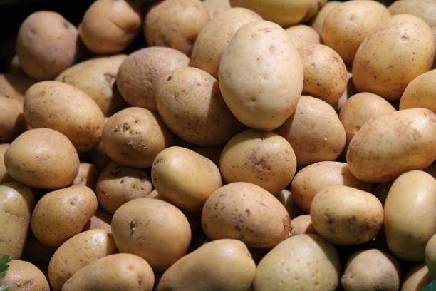 istock potato background full screen new potatoes 1271153282