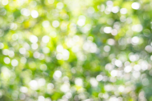 istock Abstract nature, green abstract blurred background of light bokeh 1271154928