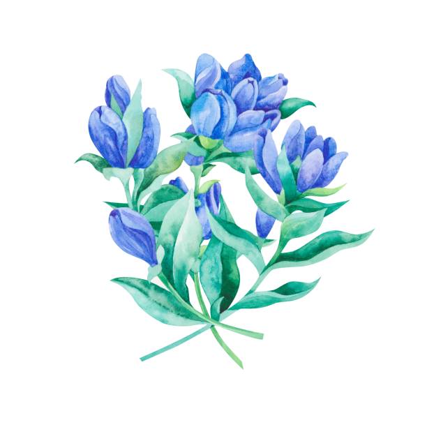 The seamless pattern with blue gentian is made in the technique of watercolors. The seamless pattern with blue gentian is made in the technique of watercolors. Printing on fabrics, packaging paper, wedding invitations, etc blue gentian stock illustrations