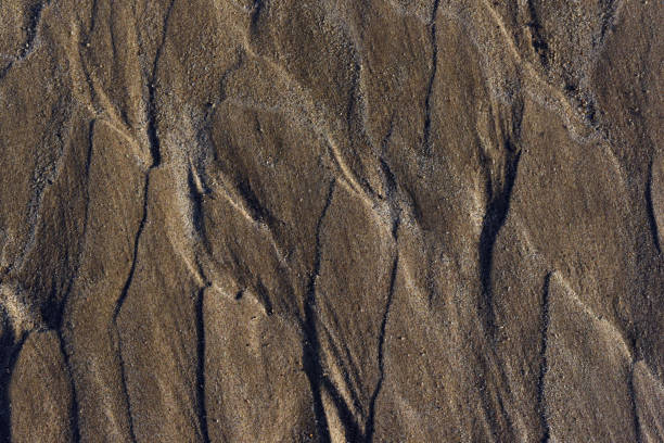istock A whole page of ripples in wet sand background texture 1271157429