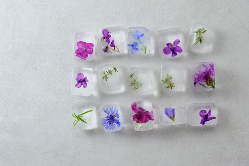 Floral ice cubes on the gray background. Edible flowers frozen in ice. Horizontal with space for text.