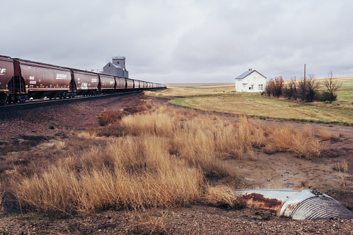 Freight train passing a grain elevator hauled by a Burlington Northern Santa Fe locomotive, at Galata, Montana, USA.