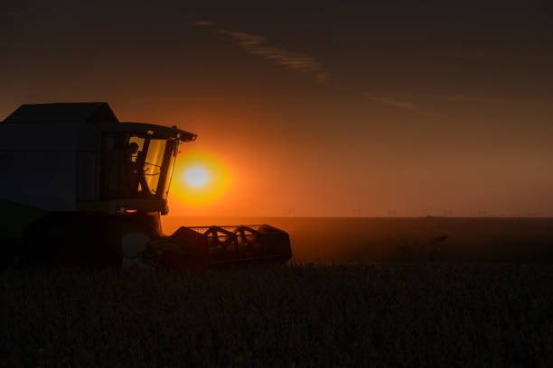 istock A combine harvesting soybeans at sunset 1271161734