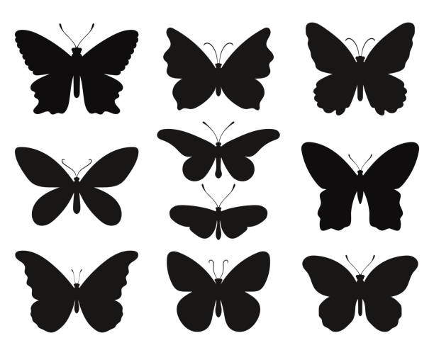 Butterfly silhouettes set. Black stencils shapes of butterflies and moths, contours spring papillon Butterfly silhouettes set. Black stencils shapes of butterflies and moths, contours spring papillon, vector illustration symbols of outlines fauna creatures isolated on white backgr butterfly tattoo stencil stock illustrations
