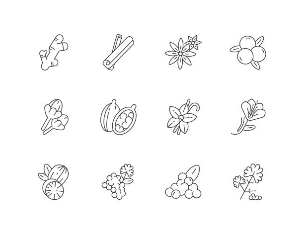 ilustrações de stock, clip art, desenhos animados e ícones de indian spices linear icons set - cardamom spice indian culture isolated