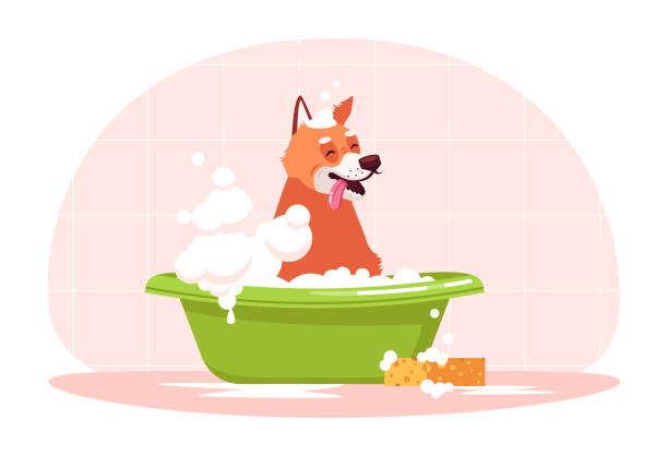 ilustrações de stock, clip art, desenhos animados e ícones de dog in bath semi flat rgb color vector illustration - dog bathtub washing puppy