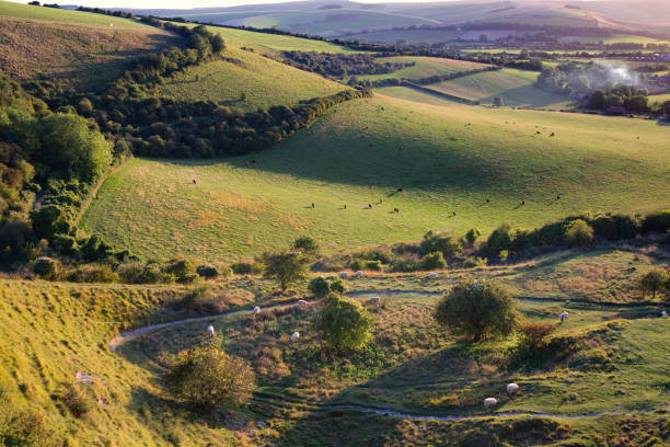 istock sun in the sky over South Downs 1271165564