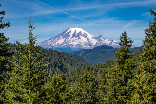 parque nacional monte rainier en el estado de washington, ee. uu. en agosto - monte rainier fotografías e imágenes de stock