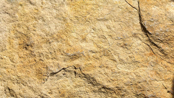 istock Masonry on the wall and floor. Various stone textures. Multicolored background. 1271170476
