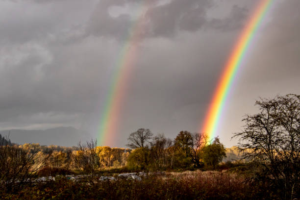 istock A picture of a double rainbow 