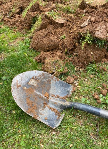 istock Dirty Garden shovel 1271178929