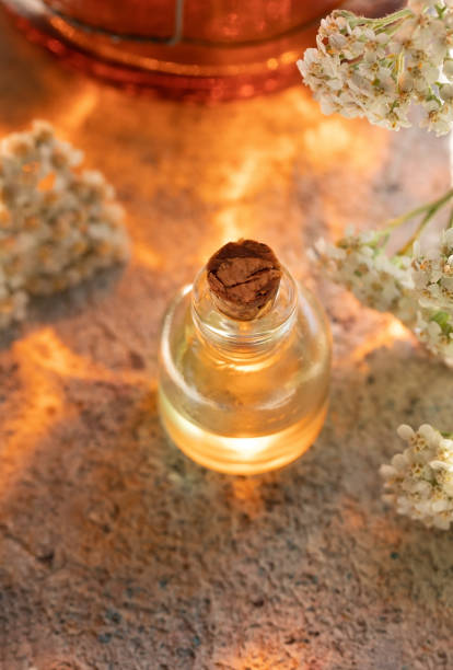 una bottiglia di olio essenziale con yarrow fresco in fiore - herbal medicine flash foto e immagini stock