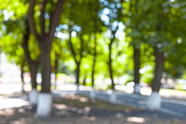 istock Town alley with green trees background in the fall 1271180978