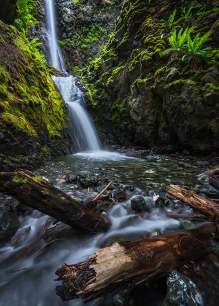 istock Lupin Falls on Vancouver Island 1271182369