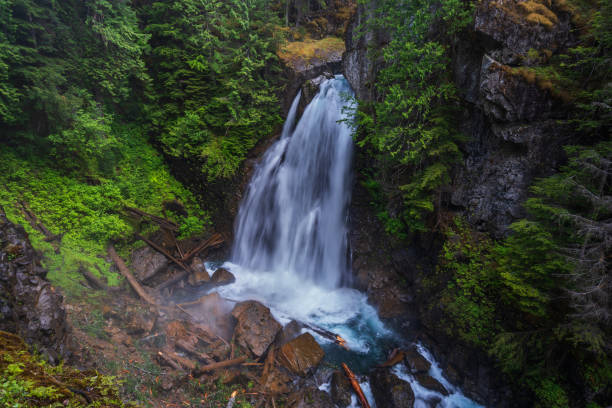 istock Lady Falls in Strathcona Provincial Park 1271183338