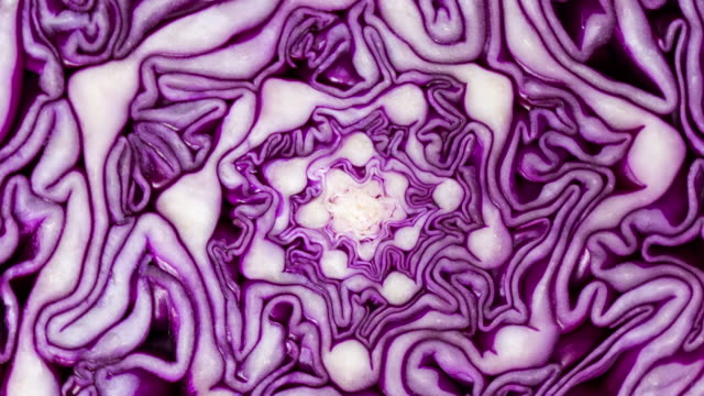 Macro shot of slice red cabbage texture background